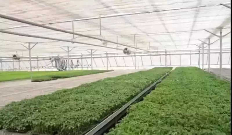 物联网云平台：连接未来的新桥梁